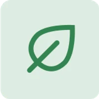 Большой выбор 